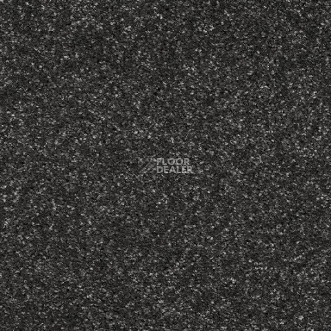 Ковролин AW Invictus Atticus Atticus 97 фото 1 | FLOORDEALER